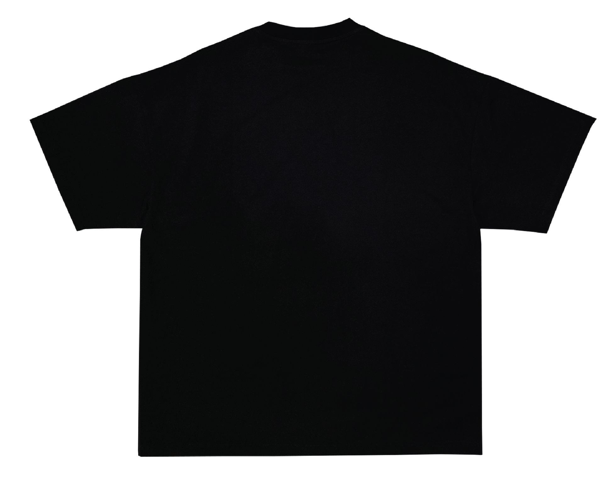 TAKE CONTROL & TAKE OVER STAR TEE